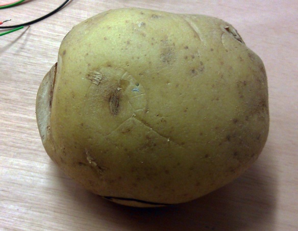 Potato Tool 1